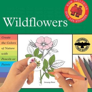 Houghton-Mifflin A Field Guide to Wildflowers-0