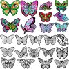 Motipuns 24 Pcs Butterflies Velvet Coloring Fuzzy Color Your Own Velvet Butterflies DIY Posters for Crafts and Arts Family Craft Project Party Favors and Activities(Classic Style)-0