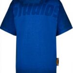 Vingino Jungen T-Shirt Hilo Seascape Blue Größenvarianten