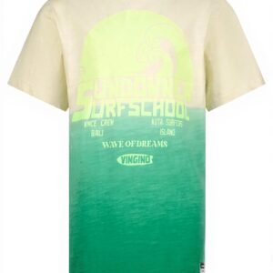 Vingino Jungen T-Shirt Cactus Green Baumwolle Hunner