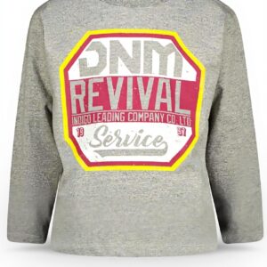 Vingino Jungen Jenim T-Shirt Berry Purple Grey Melee