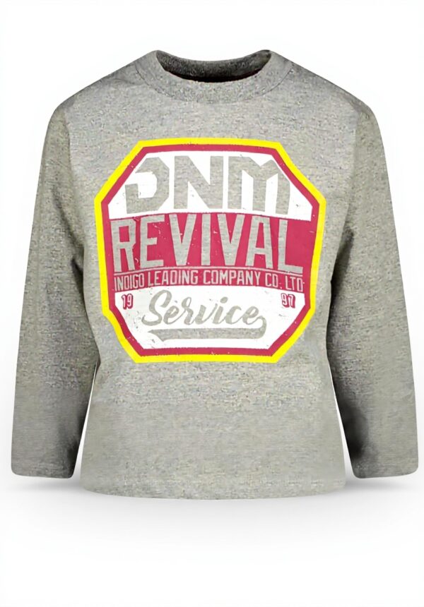 Vingino Jungen Jenim T-Shirt Berry Purple Grey Melee