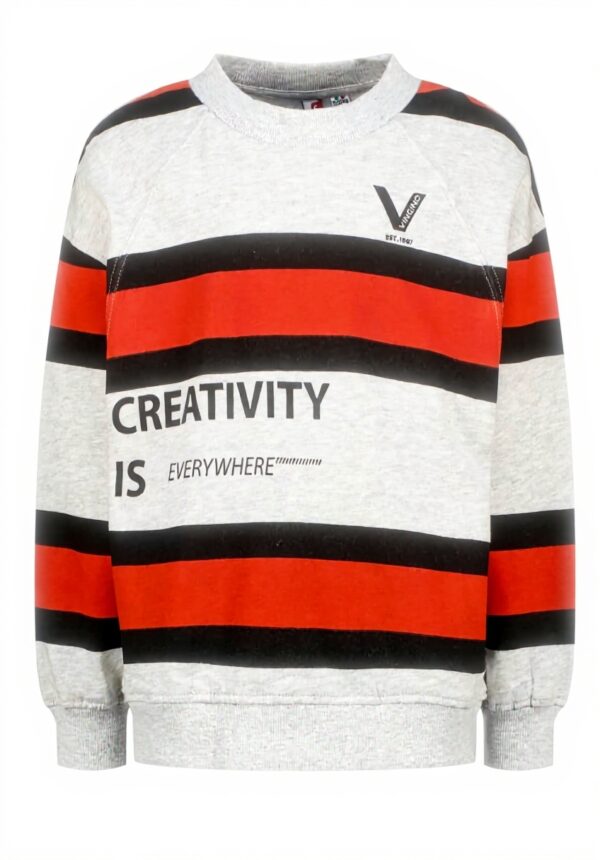 Vingino Jungen Sweatshirt Grau Kapuzenpullover Nabilie